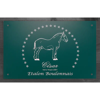 Plaque de box verte - série A