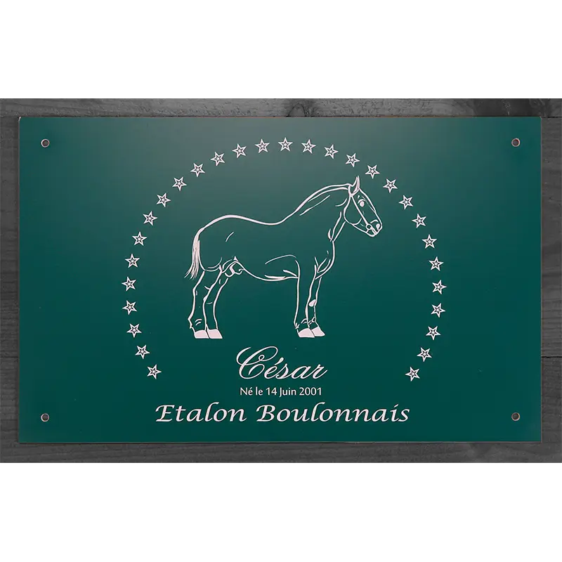 Plaque de box verte - série A