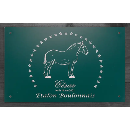 Plaque de box verte - série A