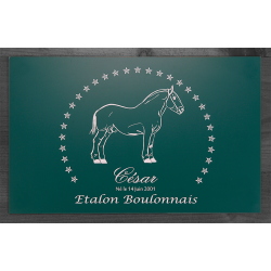 Plaque de box verte - série A