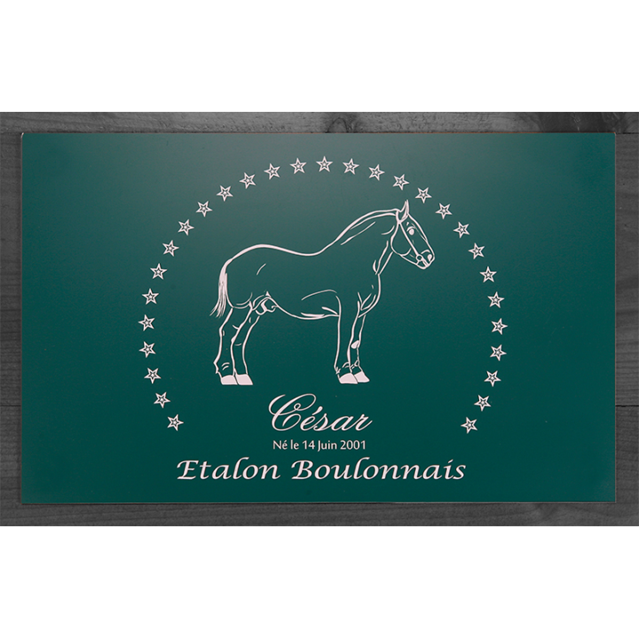 Plaque de box verte - série A