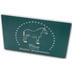 Plaque de box verte - série A