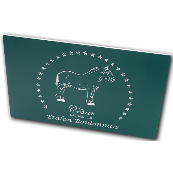 Plaque de box verte - série A