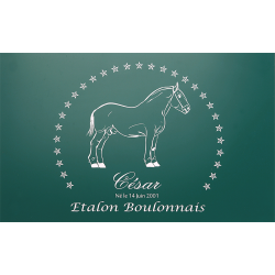 Plaque de box verte - série A