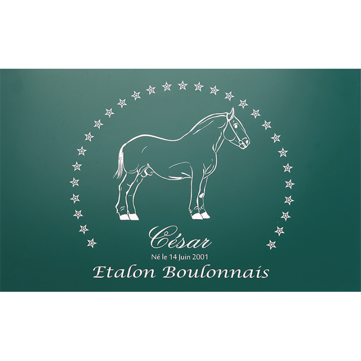 Plaque de box verte - série A