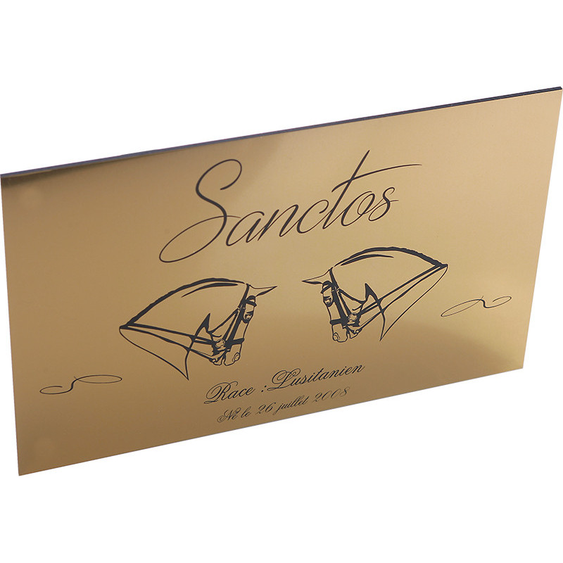 Personalized Horse Stall Plaque – Brushed Gold (Series A)