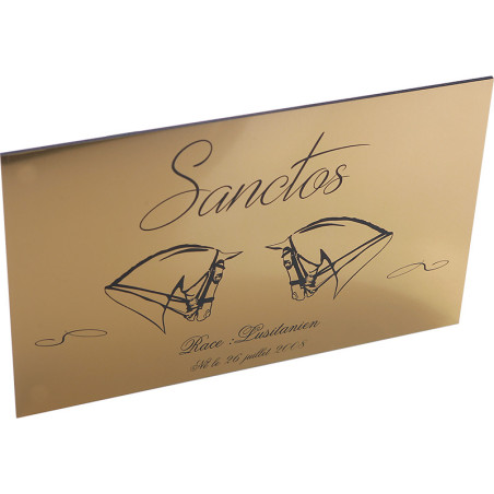 Personalized Horse Stall Plaque – Brushed Gold (Series A)