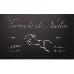 Plaque de box personnalisée noire - série A