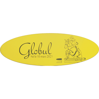 Plaque de box Ovale Jaune