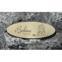 Plaque de box Ovale Or Brossé