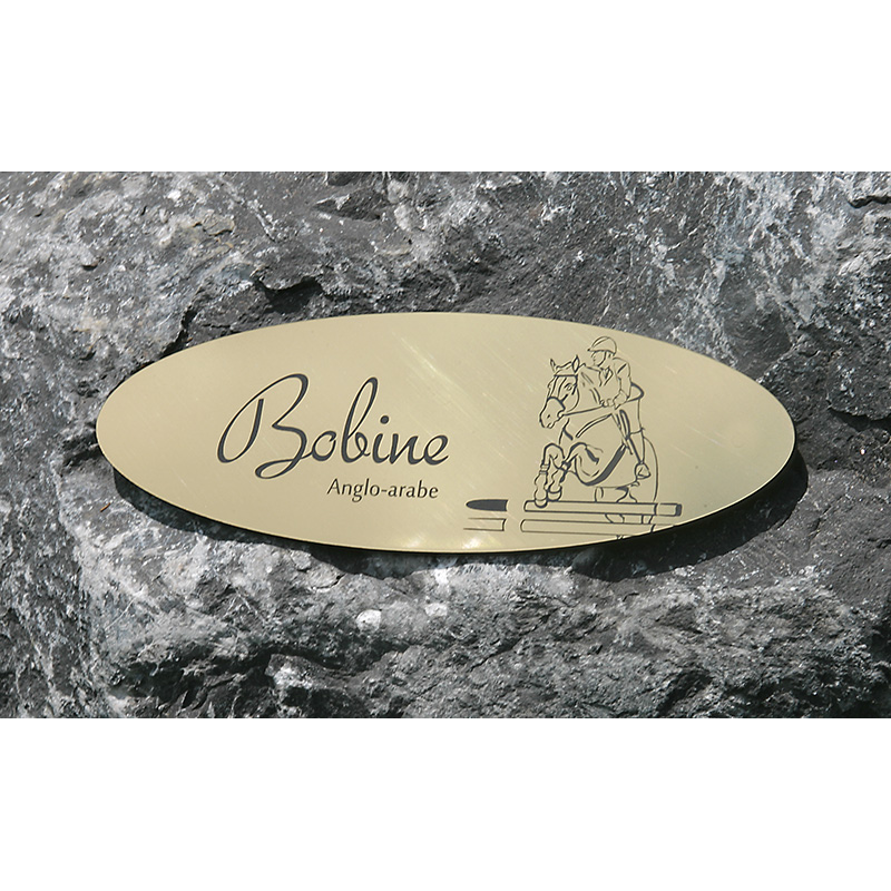 Plaque de box Ovale Or Brossé Plaque de box Ovale Or Brossé