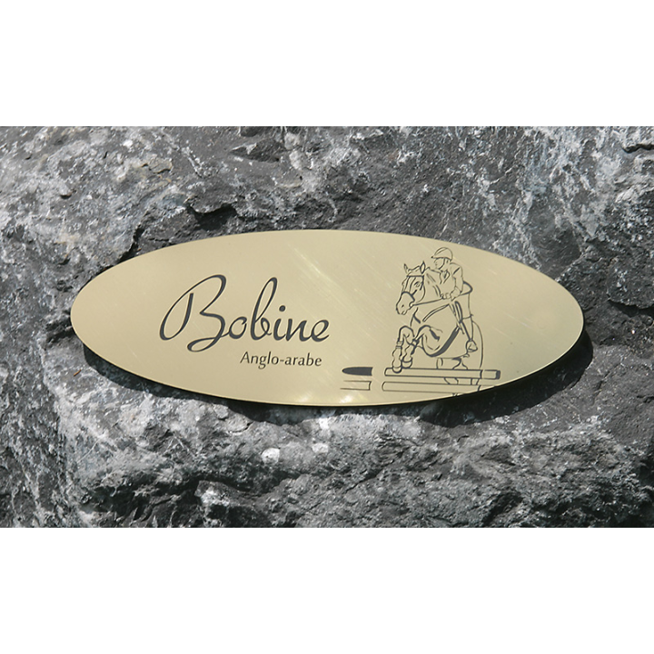 Plaque de box Ovale Or Brossé