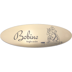 Plaque de box Ovale Or Brossé