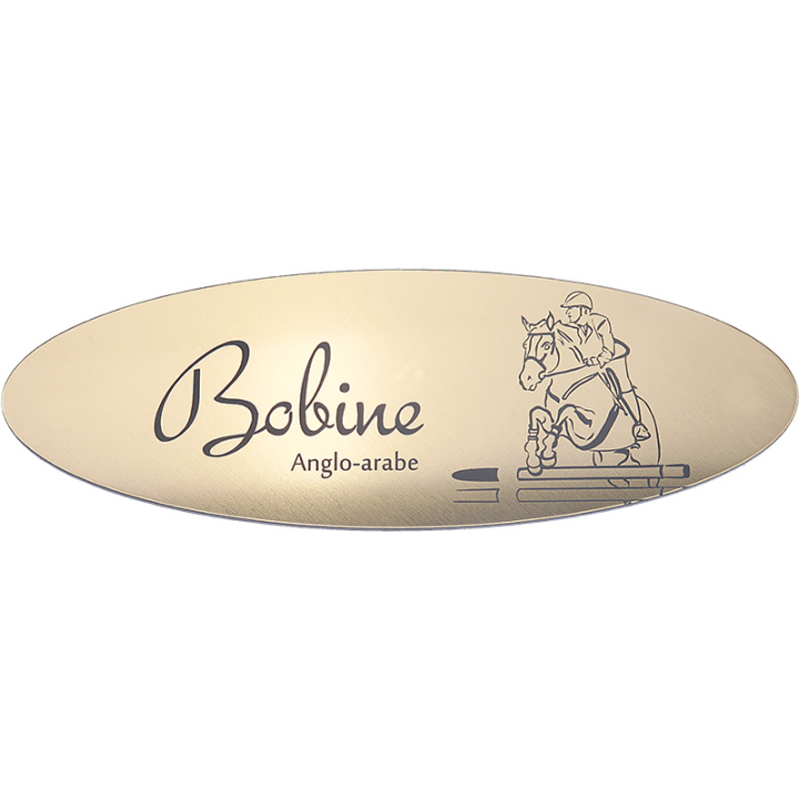 Plaque de box Ovale Or Brossé