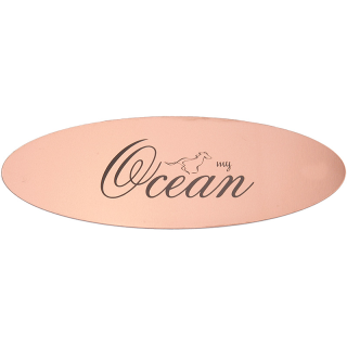 Plaque De Box Ovale Cuivre Brossé