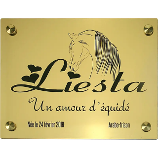 Plaque de box or brossé - série A1