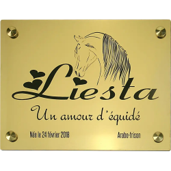 Plaque de box or brossé - série A1