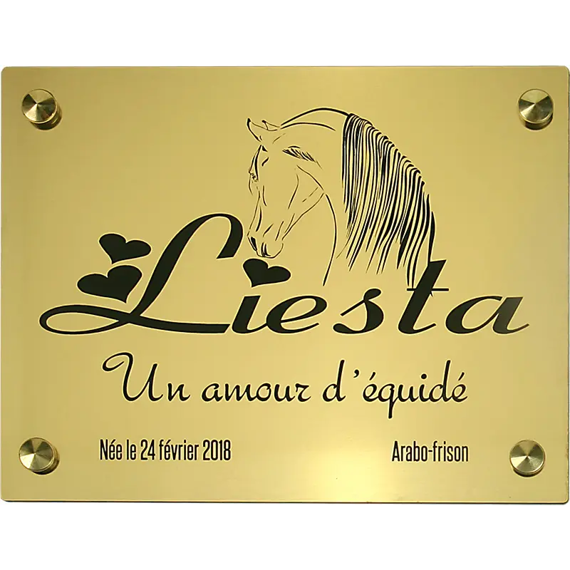 Plaque de box or brossé - série A1