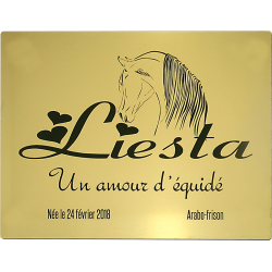 Plaque de box or brossé - série A1