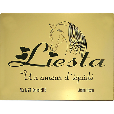 Plaque de box or brossé - série A1