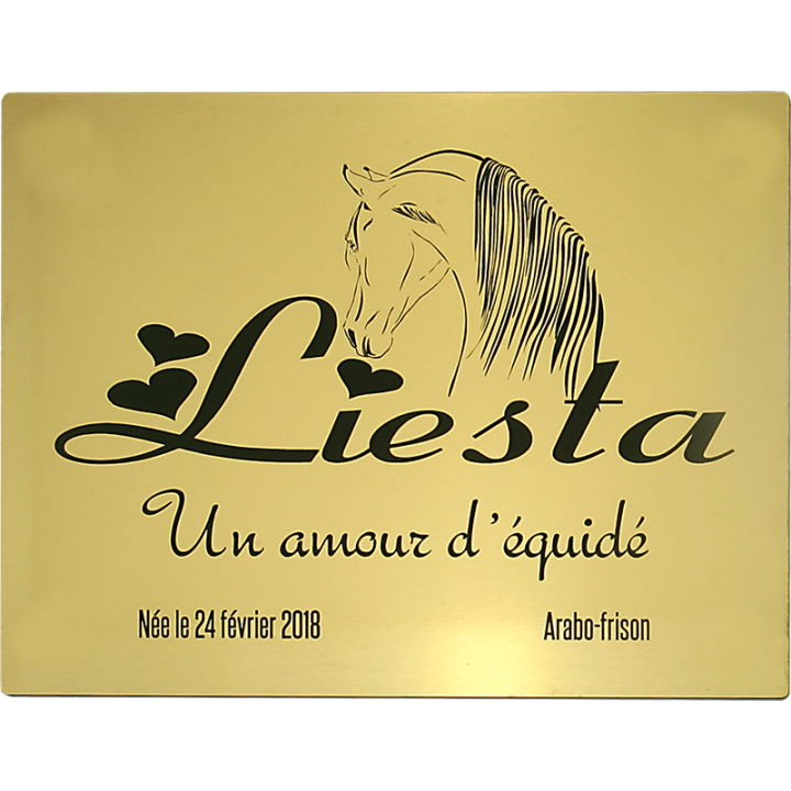 Plaque de box or brossé - série A1