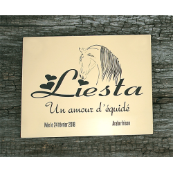 Plaque de box or brossé - série A1