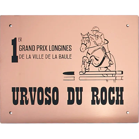 Plaque De Box Cuivre Brossé - série A1