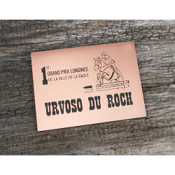 Plaque De Box Cuivre Brossé - série A1