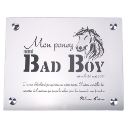 Plaque De Box Argent Brossé - série A1