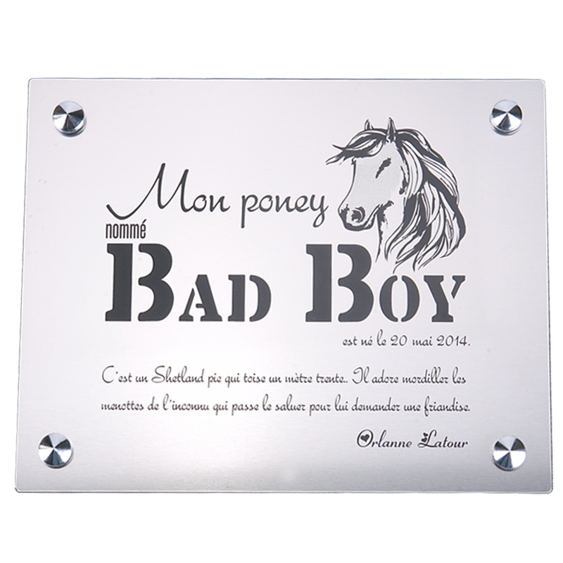 Plaque De Box Argent Brossé - série A1
