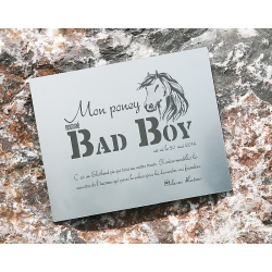 Plaque De Box Argent Brossé - série A1