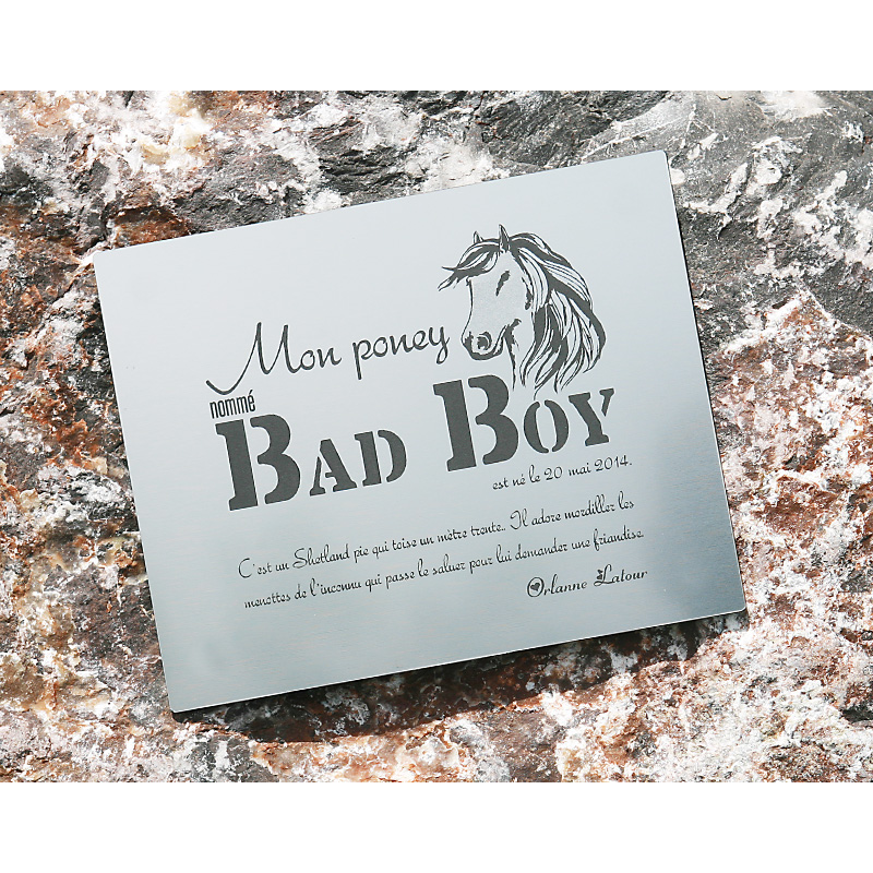 Plaque De Box Argent Brossé - série A1