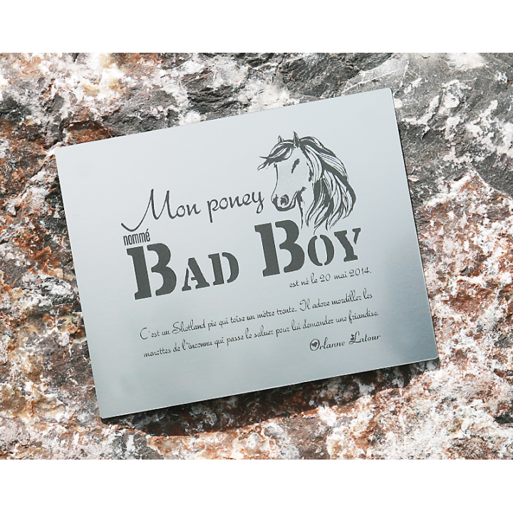 Plaque De Box Argent Brossé - série A1