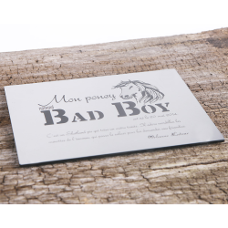 Plaque De Box Argent Brossé - série A1