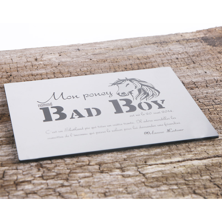 Plaque De Box Argent Brossé - série A1