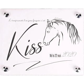 Plaque De Box Blanche - série A1