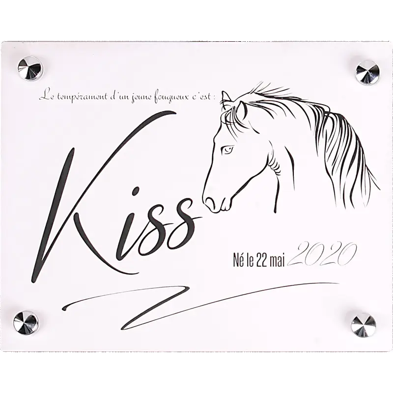 Plaque De Box Blanche - série A1