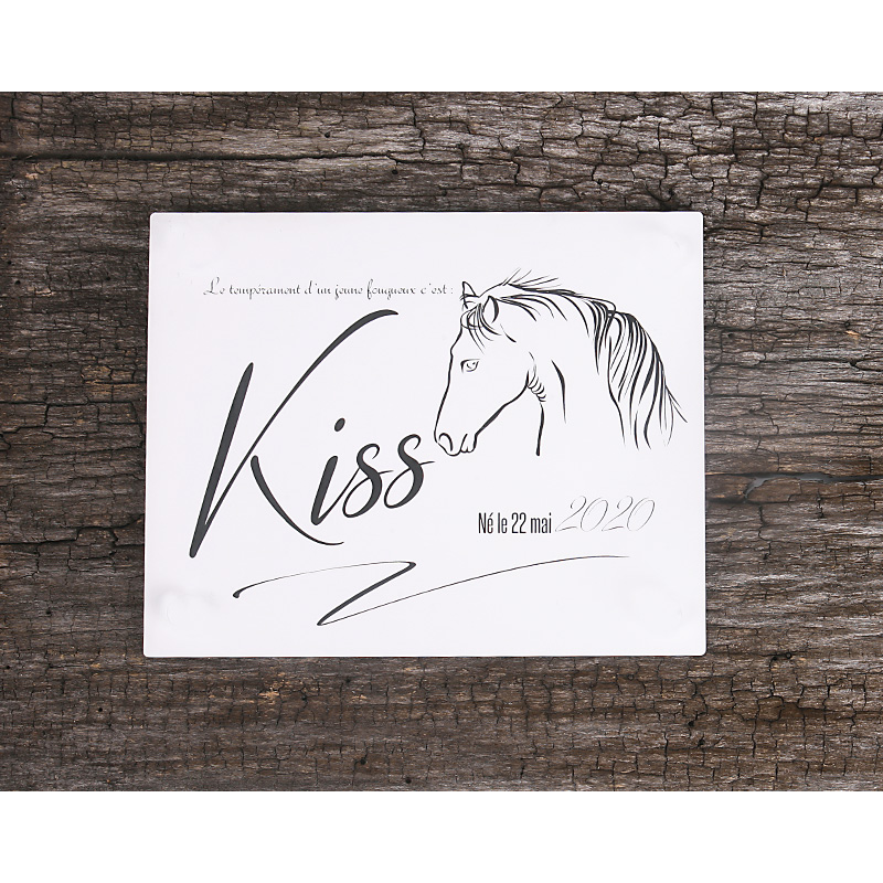 Plaque De Box Blanche - série A1 Plaque De Box Blanche - série A1