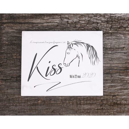 Plaque De Box Blanche - série A1