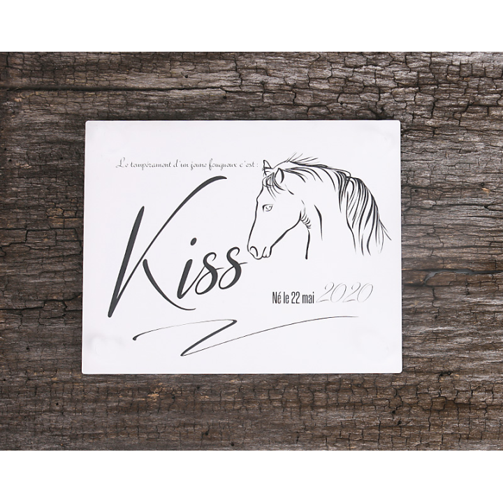 Plaque De Box Blanche - série A1