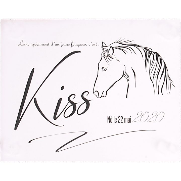 Plaque De Box Blanche - série A1