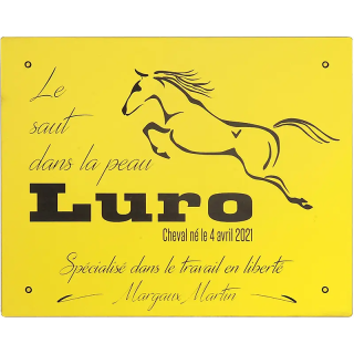 Plaque De Box Jaune - série A1