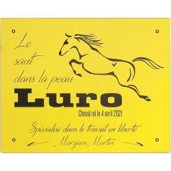 Plaque De Box Jaune - série A1