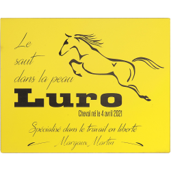 Plaque De Box Jaune - série A1