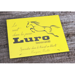 Plaque De Box Jaune - série A1