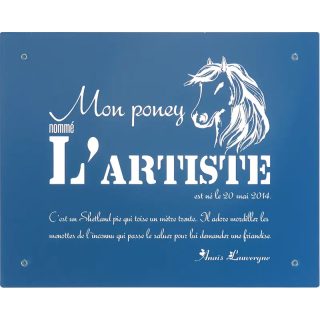 Plaque De Box Bleue - série A1