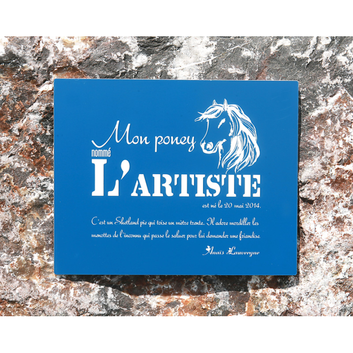 Plaque De Box Bleue - série A1