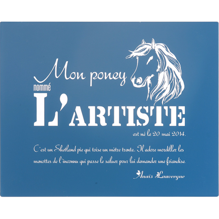 Plaque De Box Bleue - série A1