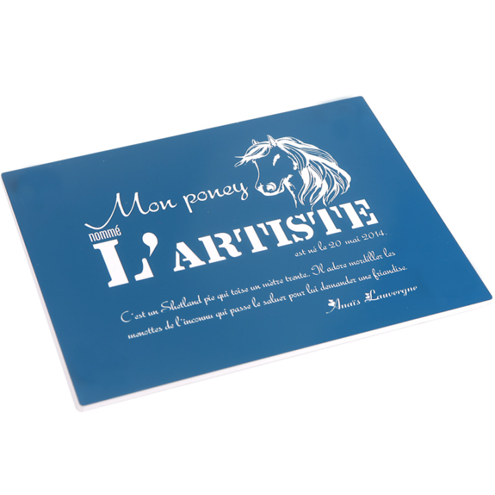 Plaque De Box Bleue - série A1