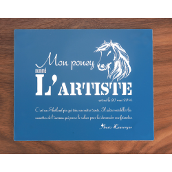 Plaque De Box Bleue - série A1